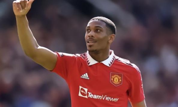 羽毛球运动 羽毛球运动